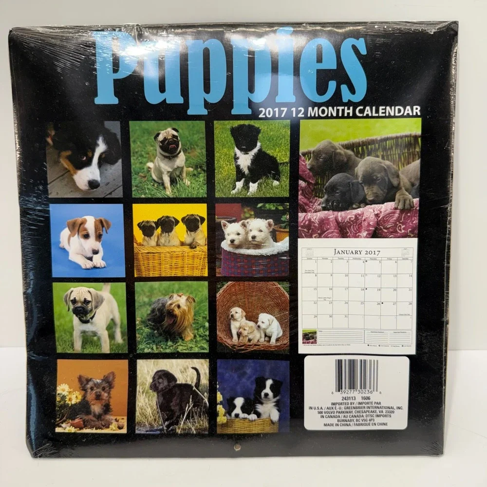 Greenbrier International Puppies 2017 12 Month Wall Calendar 243113 Dog Photos